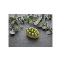 Eucalyptus