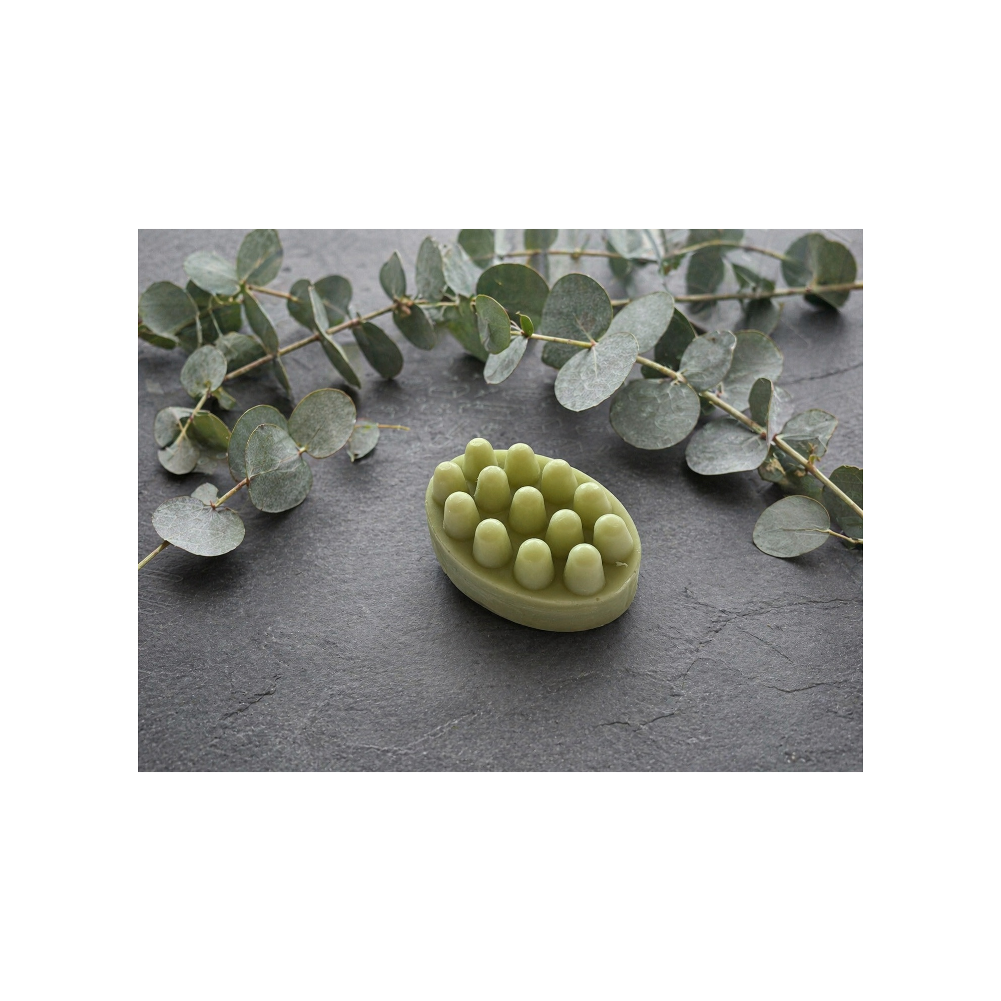 Eucalyptus