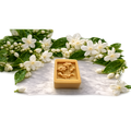 Jasmine Shea Butter